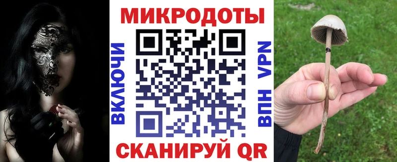 Псилоцибиновые грибы MAGIC MUSHROOMS Питкяранта
